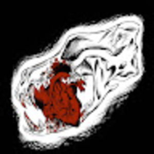 Meet your Posher, Jasper